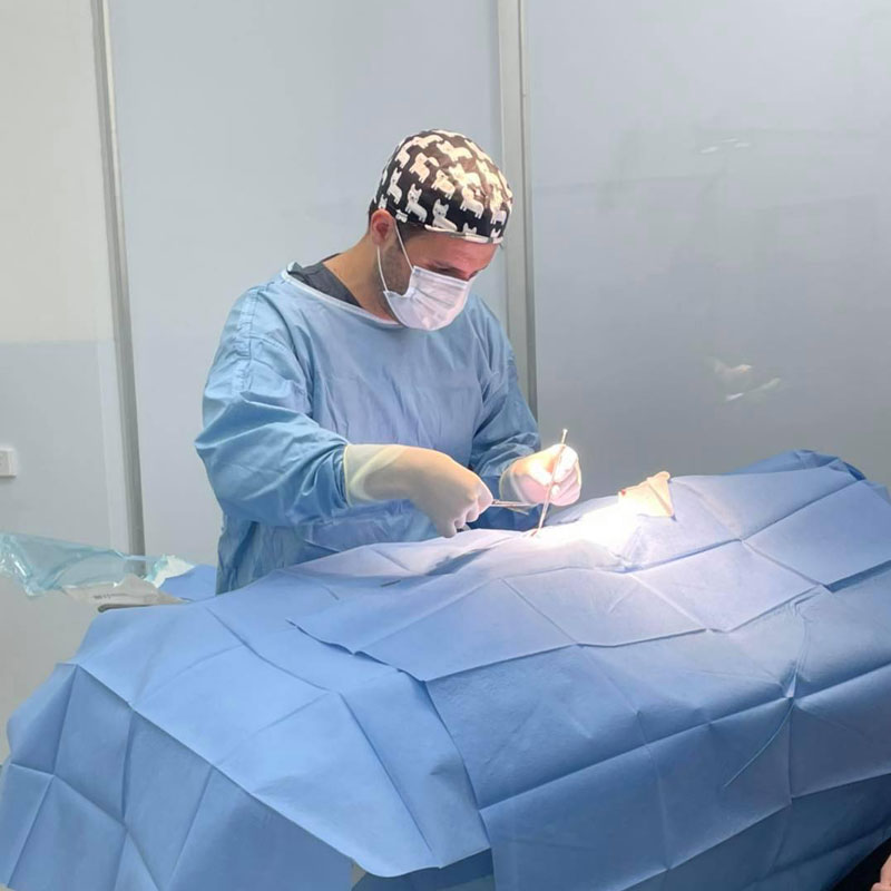 coomera-springs-vet-dr-ryan-surgery
